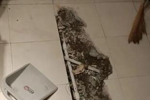 邹平卫生间漏水检测电话